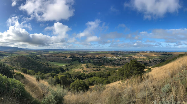 Professional Gates & Fencing services in Brea, Orange County