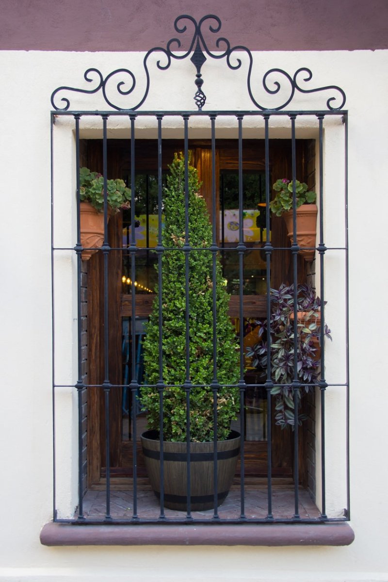 Windows Bars - Iron Master Gates