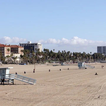 Venice Beach