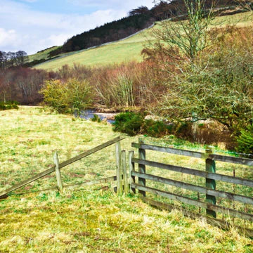Cheviot Hills