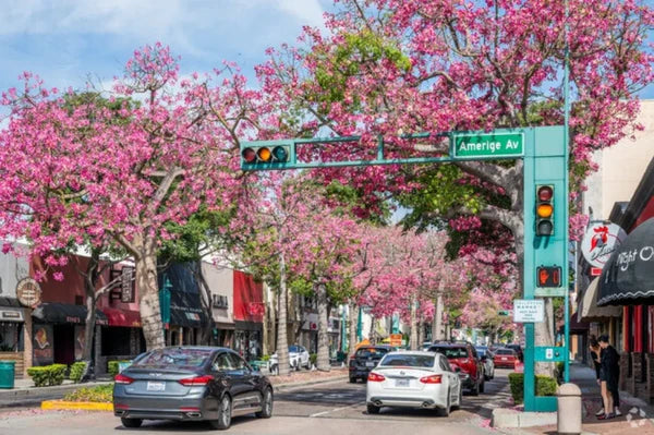 Fullerton
